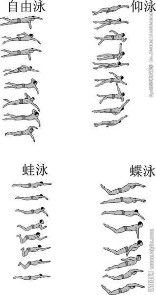 教学挂图