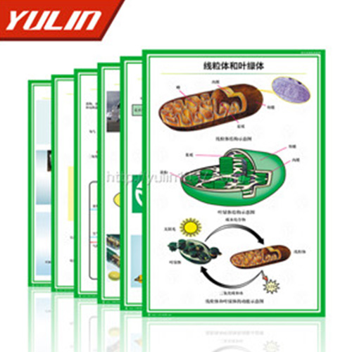 湖北病虫害防治挂图