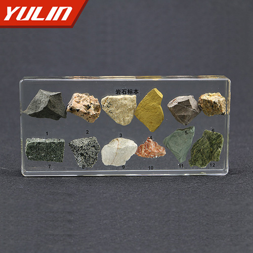 湖北岩石包埋标本