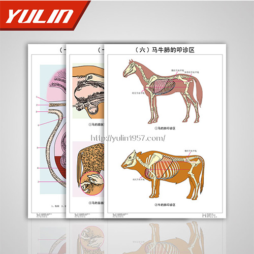 湖北职业教育教学挂图