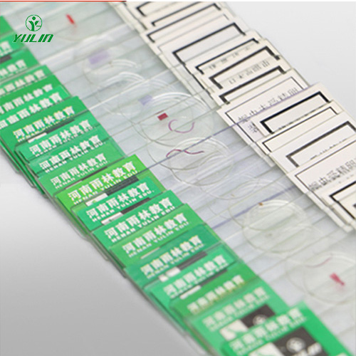 湖北中药干制标本